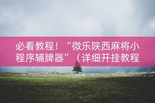 必看教程！“微乐陕西麻将小程序辅牌器”（详细开挂教程）-哔哩哔哩