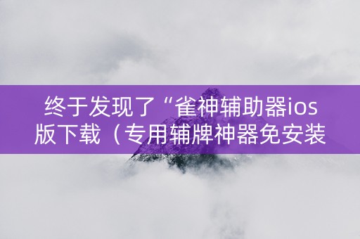 终于发现了“雀神辅助器ios版下载（专用辅牌神器免安装）