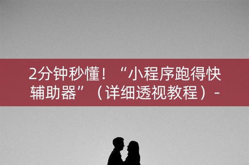 2分钟秒懂！“小程序跑得快辅助器”（详细透视教程）-哔哩哔哩