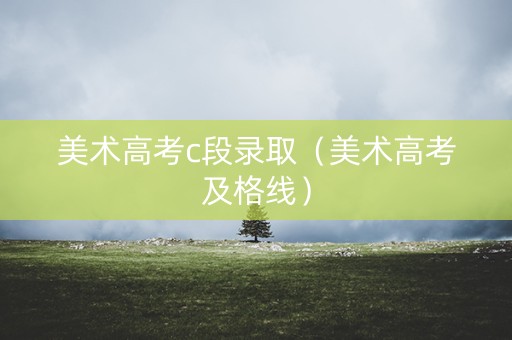 美术高考c段录取（美术高考及格线）