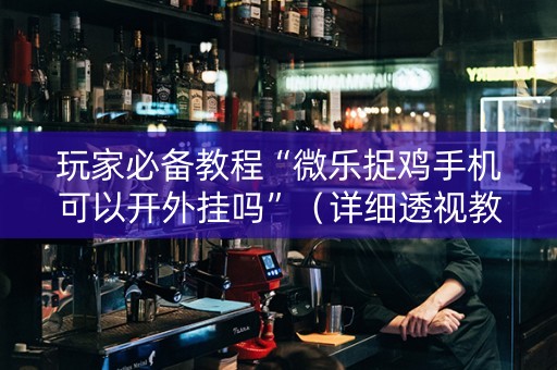 玩家必备教程“微乐捉鸡手机可以开外挂吗”（详细透视教程）-哔哩哔哩