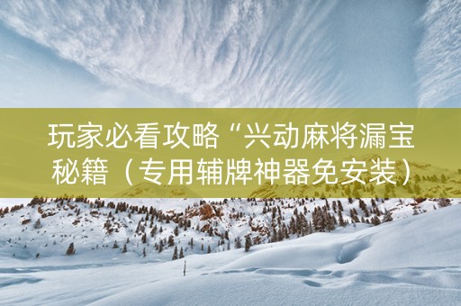 玩家必看攻略“兴动麻将漏宝秘籍（专用辅牌神器免安装）