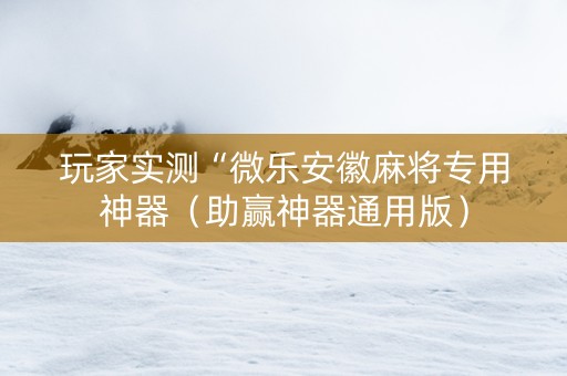玩家实测“微乐安徽麻将专用神器（助赢神器通用版）