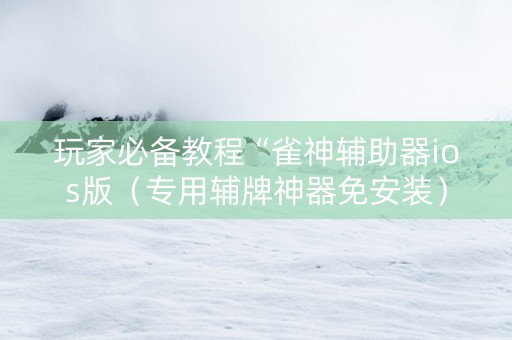 玩家必备教程“雀神辅助器ios版（专用辅牌神器免安装）