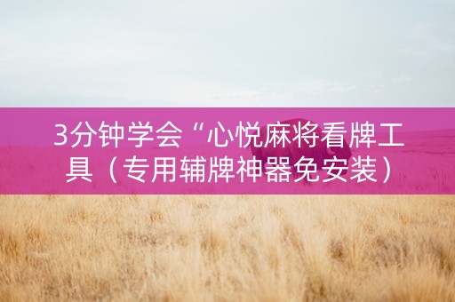 3分钟学会“心悦麻将看牌工具（专用辅牌神器免安装）