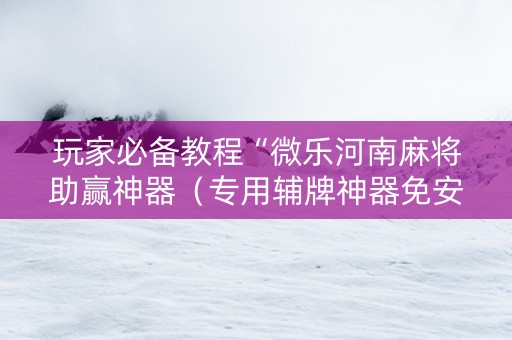 玩家必备教程“微乐河南麻将助赢神器（专用辅牌神器免安装）