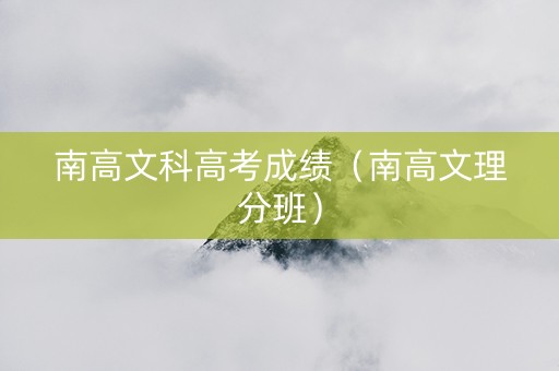 南高文科高考成绩（南高文理分班）