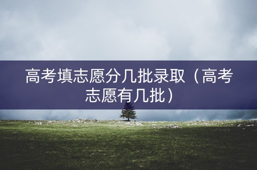 高考填志愿分几批录取（高考志愿有几批）