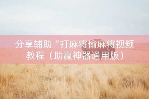 分享辅助“打麻将偷麻将视频教程（助赢神器通用版）