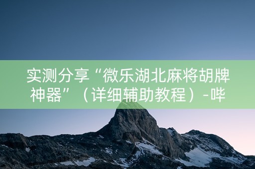 实测分享“微乐湖北麻将胡牌神器”（详细辅助教程）-哔哩哔哩