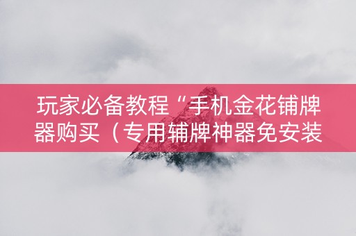 玩家必备教程“手机金花铺牌器购买（专用辅牌神器免安装）