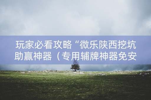 玩家必看攻略“微乐陕西挖坑助赢神器（专用辅牌神器免安装）