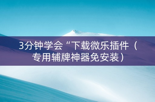 3分钟学会“下载微乐插件（专用辅牌神器免安装）