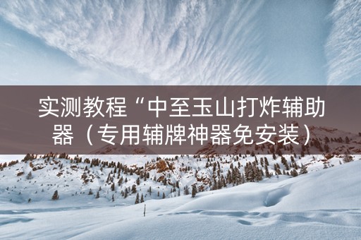 实测教程“中至玉山打炸辅助器（专用辅牌神器免安装）