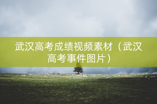 武汉高考成绩视频素材（武汉高考事件图片）
