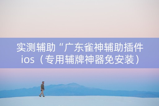 实测辅助“广东雀神辅助插件ios（专用辅牌神器免安装）