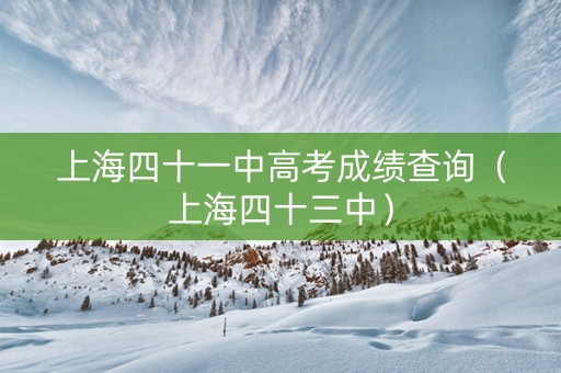 上海四十一中高考成绩查询（上海四十三中）