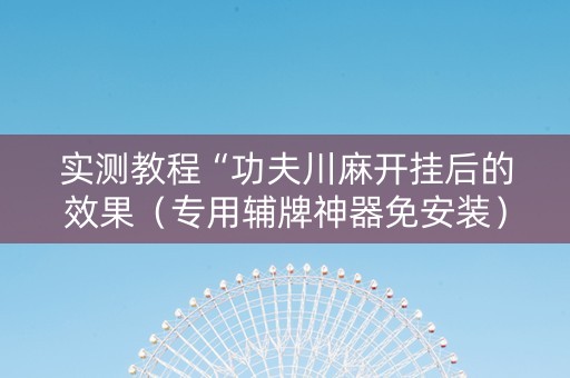 实测教程“功夫川麻开挂后的效果（专用辅牌神器免安装）