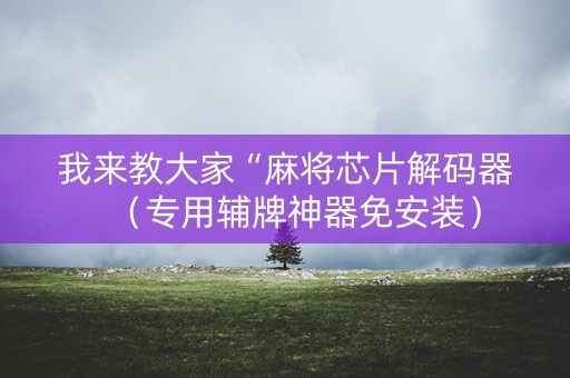 我来教大家“麻将芯片解码器（专用辅牌神器免安装）