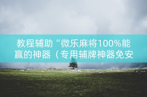 教程辅助“微乐麻将100%能赢的神器（专用辅牌神器免安装）