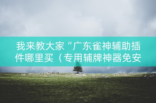 我来教大家“广东雀神辅助插件哪里买（专用辅牌神器免安装）