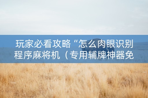 玩家必看攻略“怎么肉眼识别程序麻将机（专用辅牌神器免安装）
