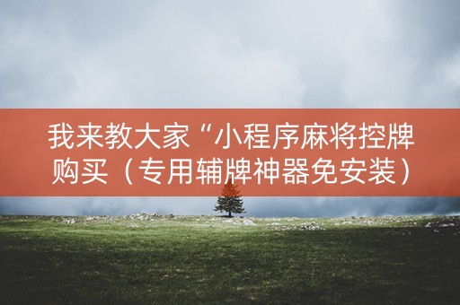 我来教大家“小程序麻将控牌购买（专用辅牌神器免安装）