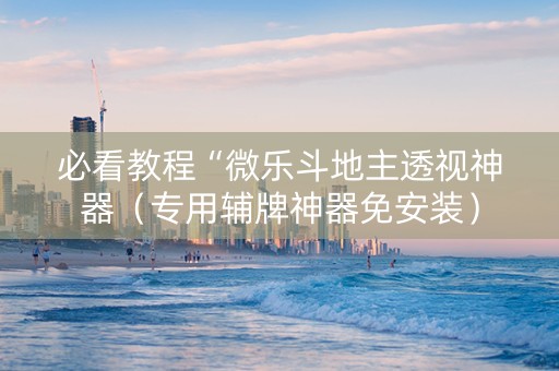 必看教程“微乐斗地主透视神器（专用辅牌神器免安装）