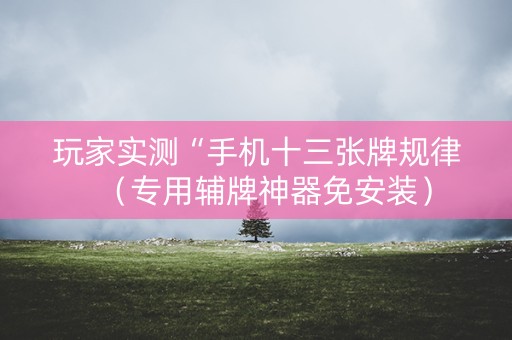 玩家实测“手机十三张牌规律（专用辅牌神器免安装）
