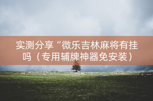 实测分享“微乐吉林麻将有挂吗（专用辅牌神器免安装）