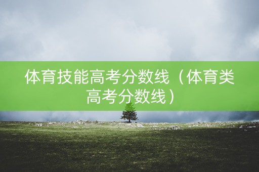 体育技能高考分数线（体育类高考分数线）