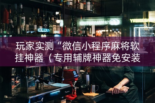 玩家实测“微信小程序麻将软挂神器（专用辅牌神器免安装）