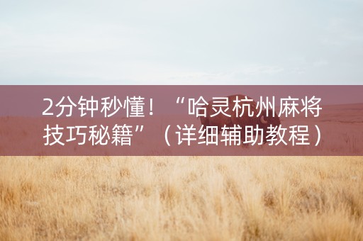 2分钟秒懂！“哈灵杭州麻将技巧秘籍”（详细辅助教程）-哔哩哔哩