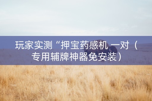 玩家实测“押宝药感机 一对（专用辅牌神器免安装）