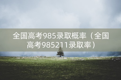 全国高考985录取概率（全国高考985211录取率）