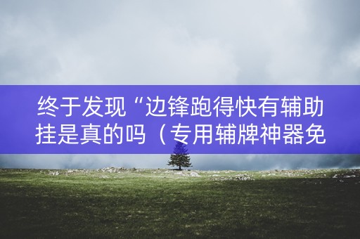 终于发现“边锋跑得快有辅助挂是真的吗（专用辅牌神器免安装）