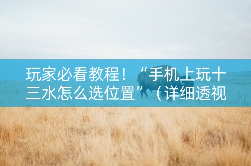 玩家必看教程！“手机上玩十三水怎么选位置”（详细透视教程）-哔哩哔哩