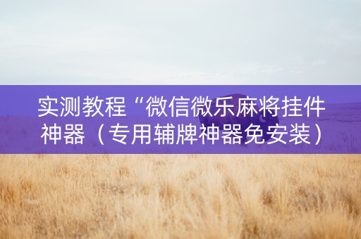 实测教程“微信微乐麻将挂件神器（专用辅牌神器免安装）