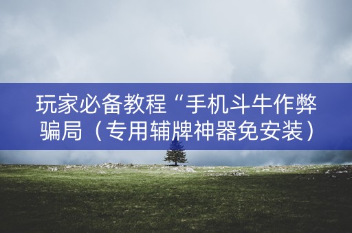 玩家必备教程“手机斗牛作弊骗局（专用辅牌神器免安装）