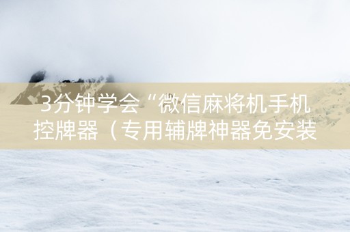 3分钟学会“微信麻将机手机控牌器（专用辅牌神器免安装）