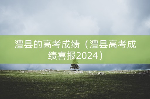澧县的高考成绩（澧县高考成绩喜报2024）