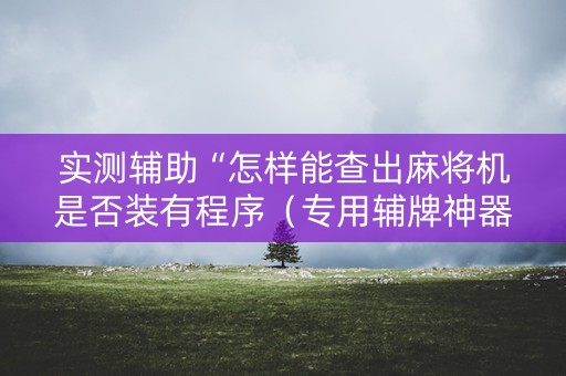 实测辅助“怎样能查出麻将机是否装有程序（专用辅牌神器免安装）