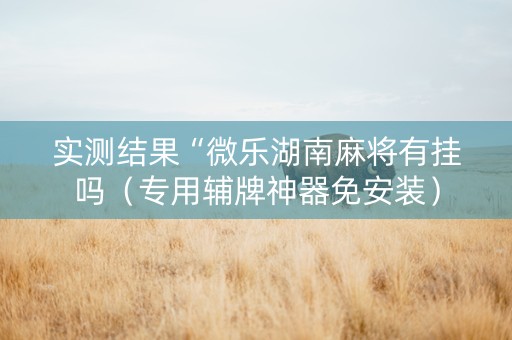实测结果“微乐湖南麻将有挂吗（专用辅牌神器免安装）
