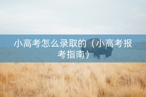小高考怎么录取的（小高考报考指南）