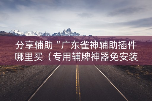 分享辅助“广东雀神辅助插件哪里买（专用辅牌神器免安装）