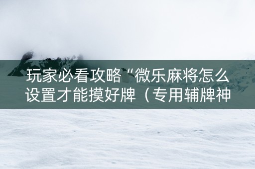 玩家必看攻略“微乐麻将怎么设置才能摸好牌（专用辅牌神器免安装）