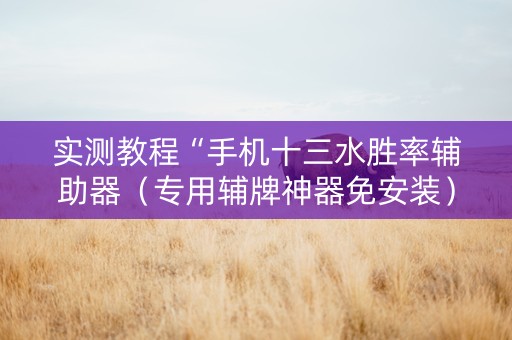 实测教程“手机十三水胜率辅助器（专用辅牌神器免安装）