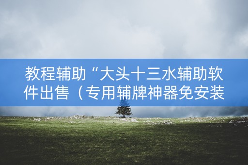 教程辅助“大头十三水辅助软件出售（专用辅牌神器免安装）