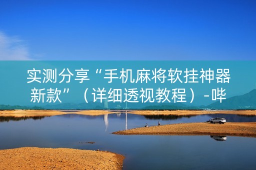 实测分享“手机麻将软挂神器新款”（详细透视教程）-哔哩哔哩