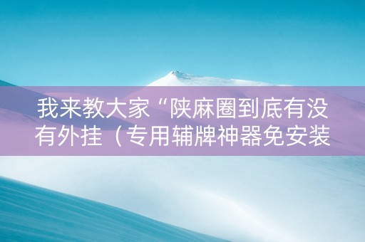 我来教大家“陕麻圈到底有没有外挂（专用辅牌神器免安装）